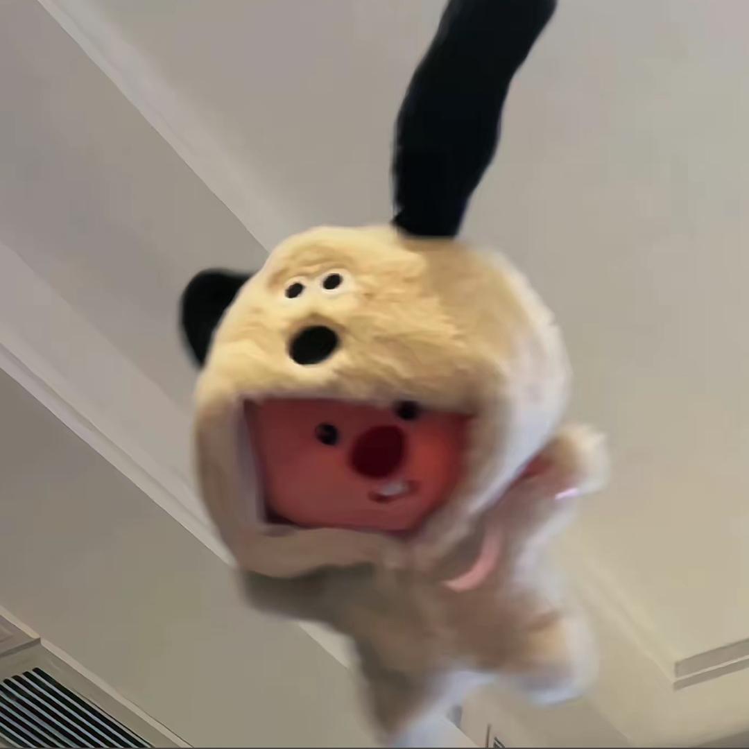 小鱼学姐喵