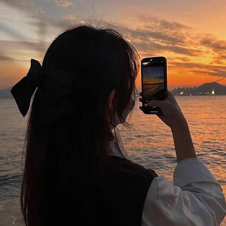 玫瑰花🌹