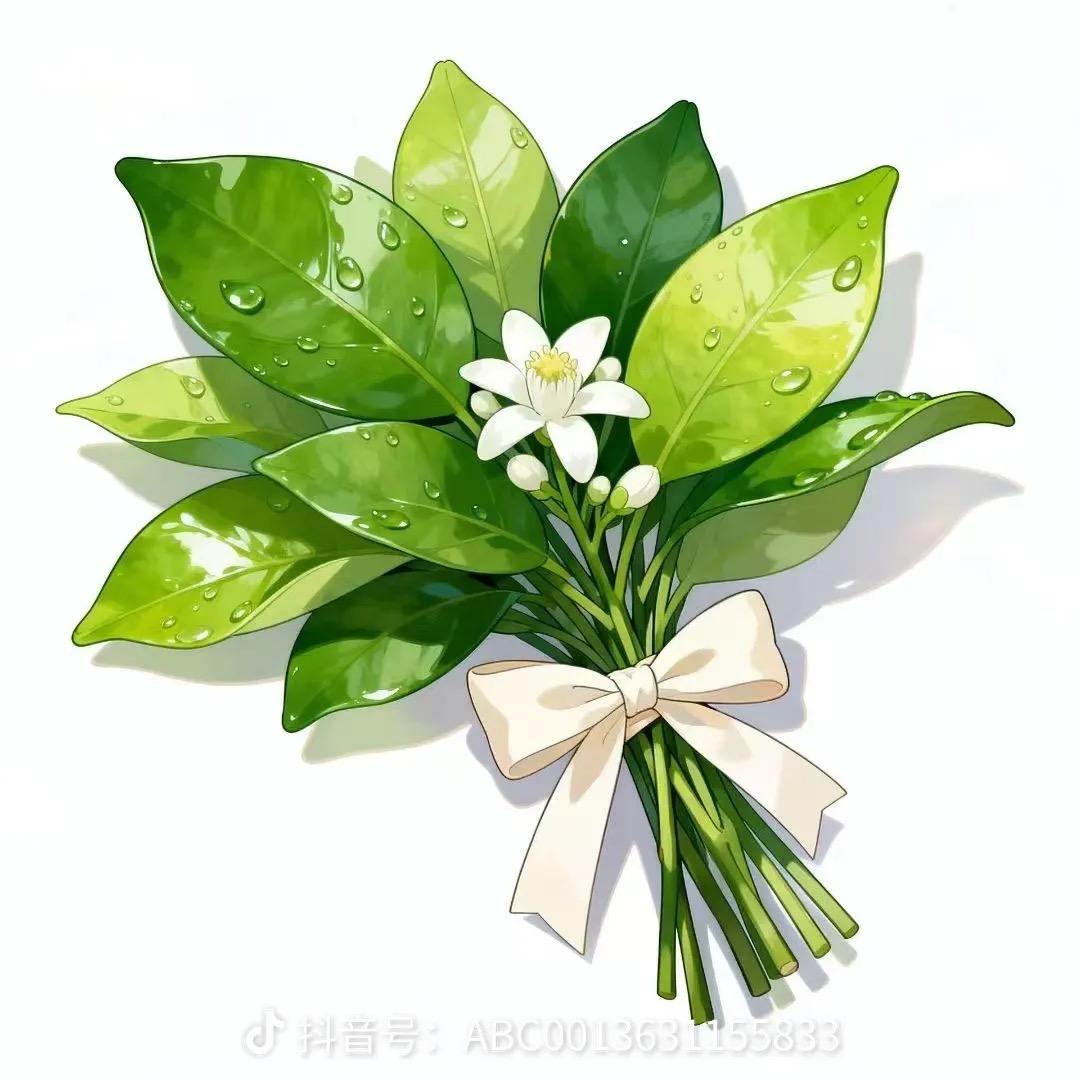 💚⃝不ི࿆发ᩚྀ࿆胖只发财᭄💕