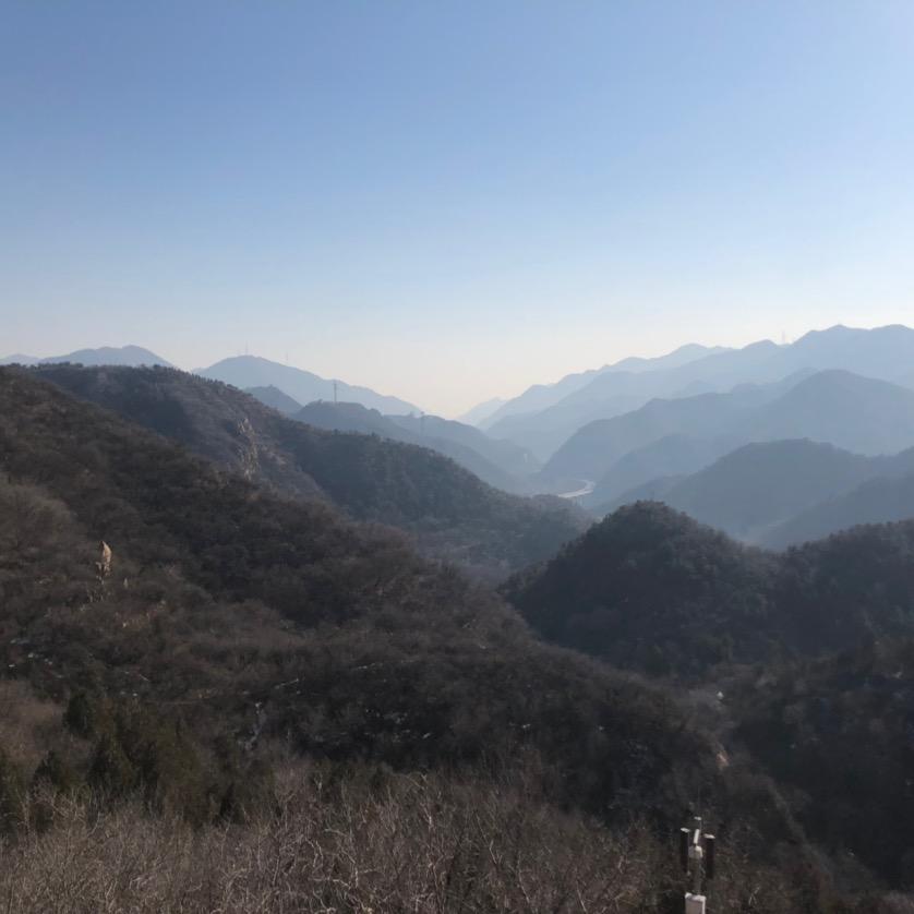不是爽剧就差评头像