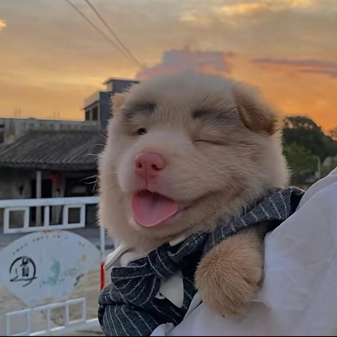 镇雄摄影师
