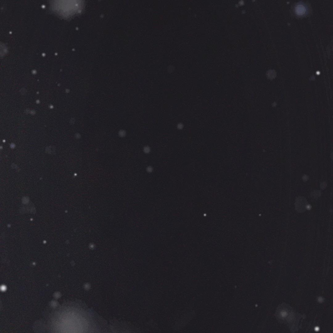 空白