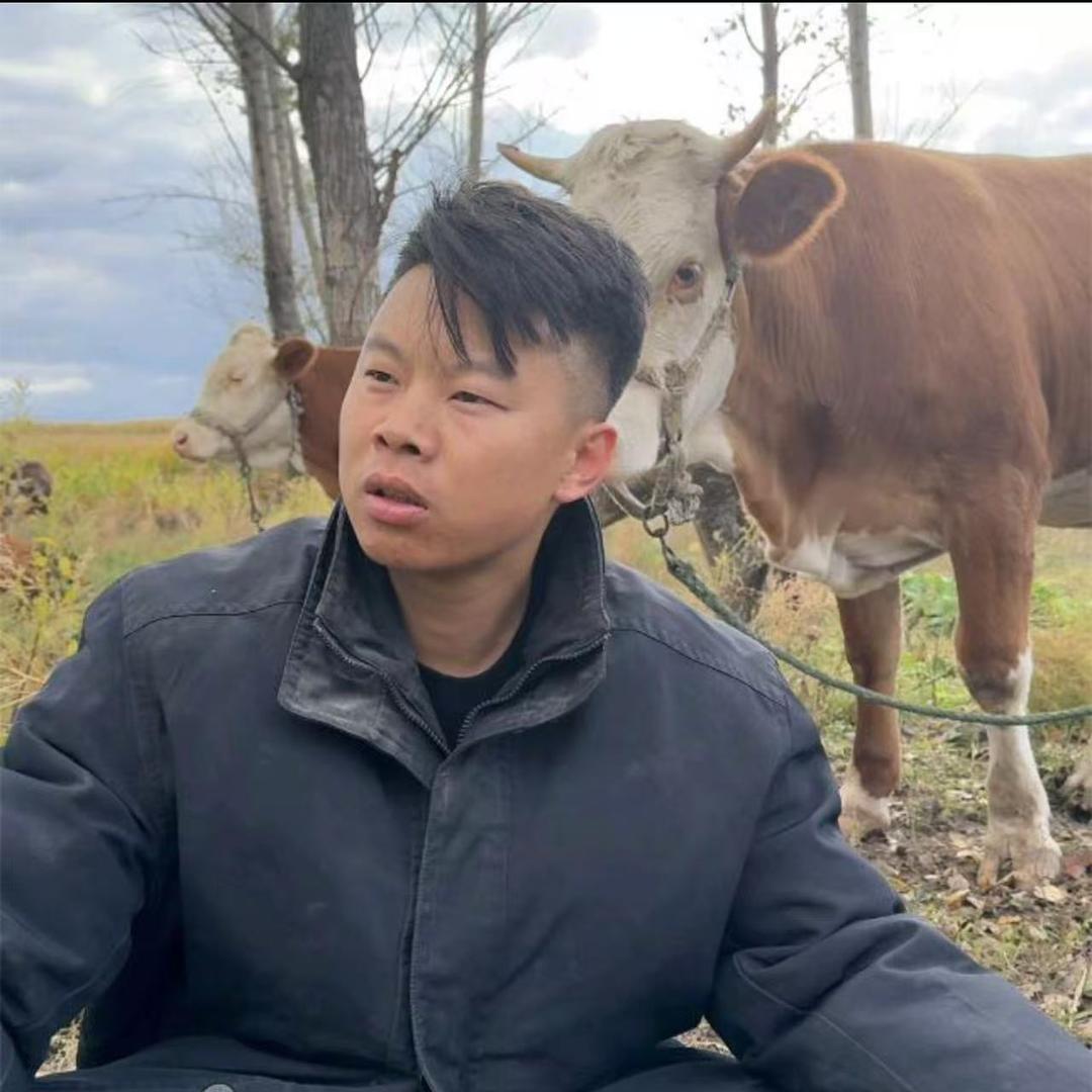 长春老孟二手车批发4（招销售）