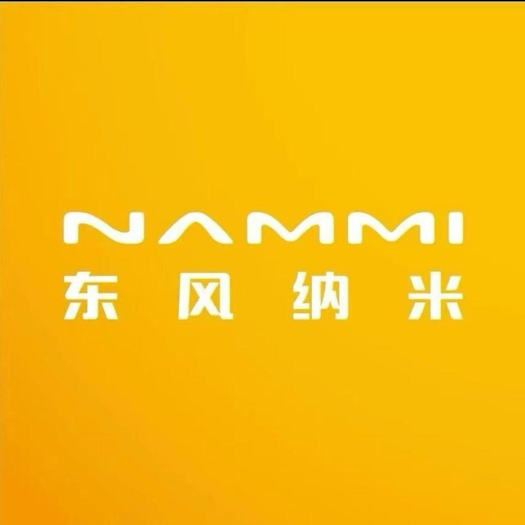 东风纳米06石家庄大道店