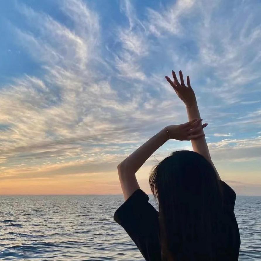 七筒胡流浪猫七万