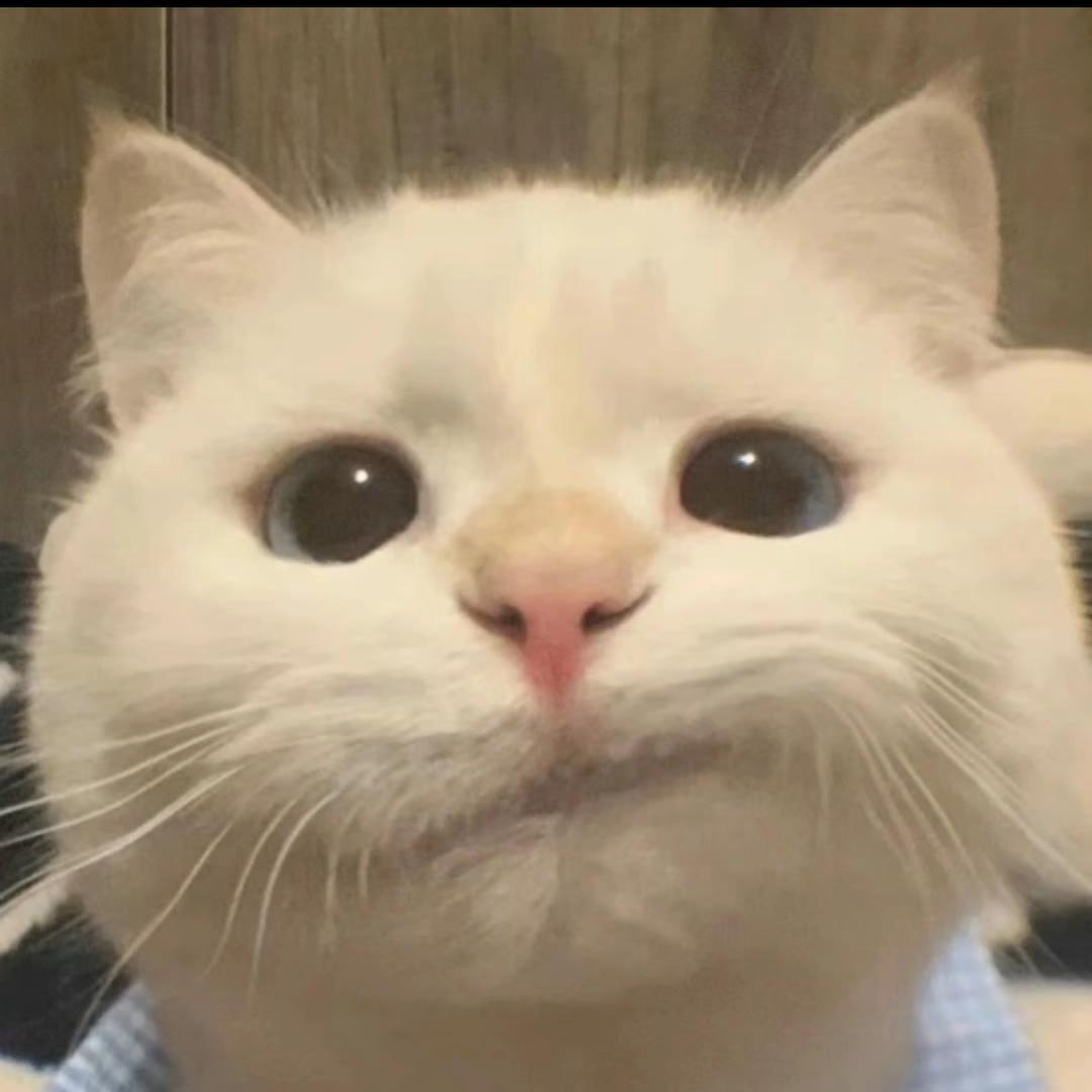 抱走羡儿