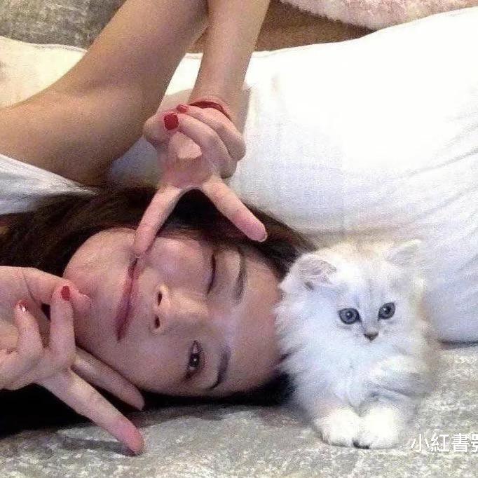 哈密瓜
