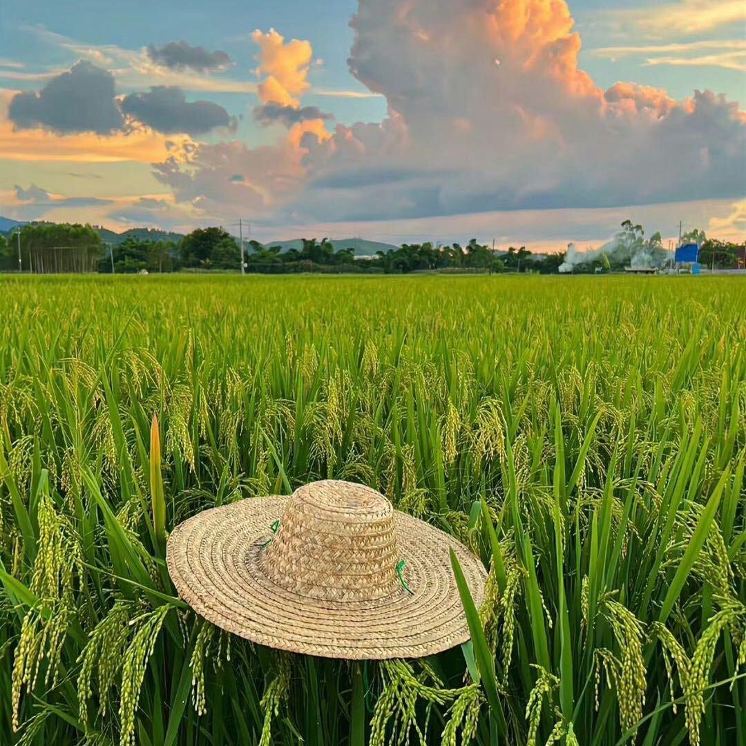 烟花爆竹 ➕ 土特产