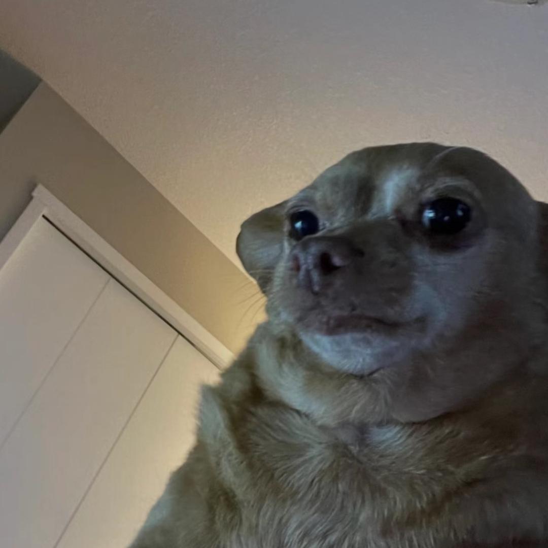 yyyyy