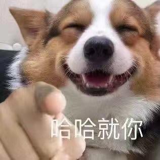 爱吃土豆和鸡蛋