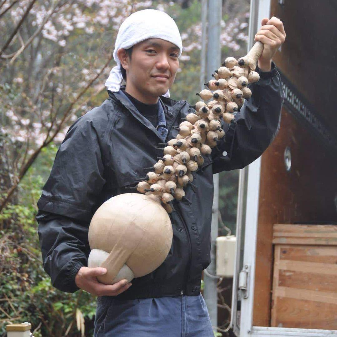 老表大呲花（直播号）