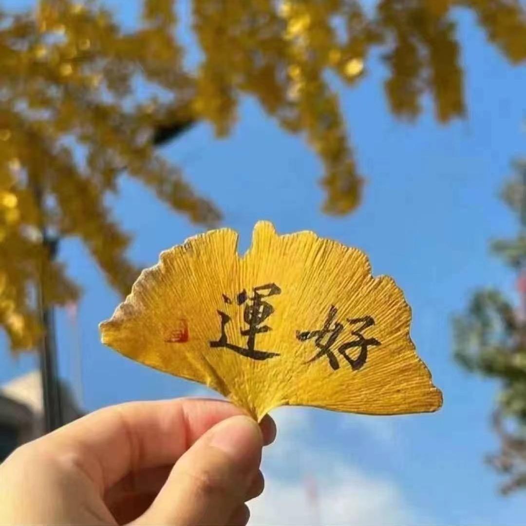an 妈☄️