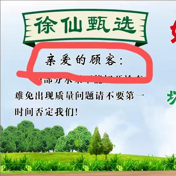 徐仙甄选直播号