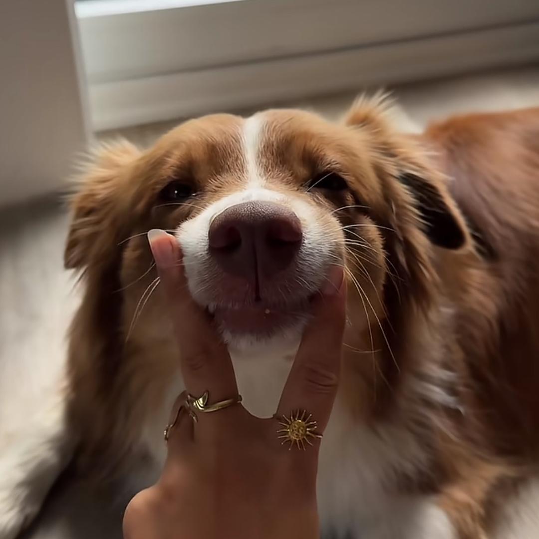 还是馕和酸奶吧