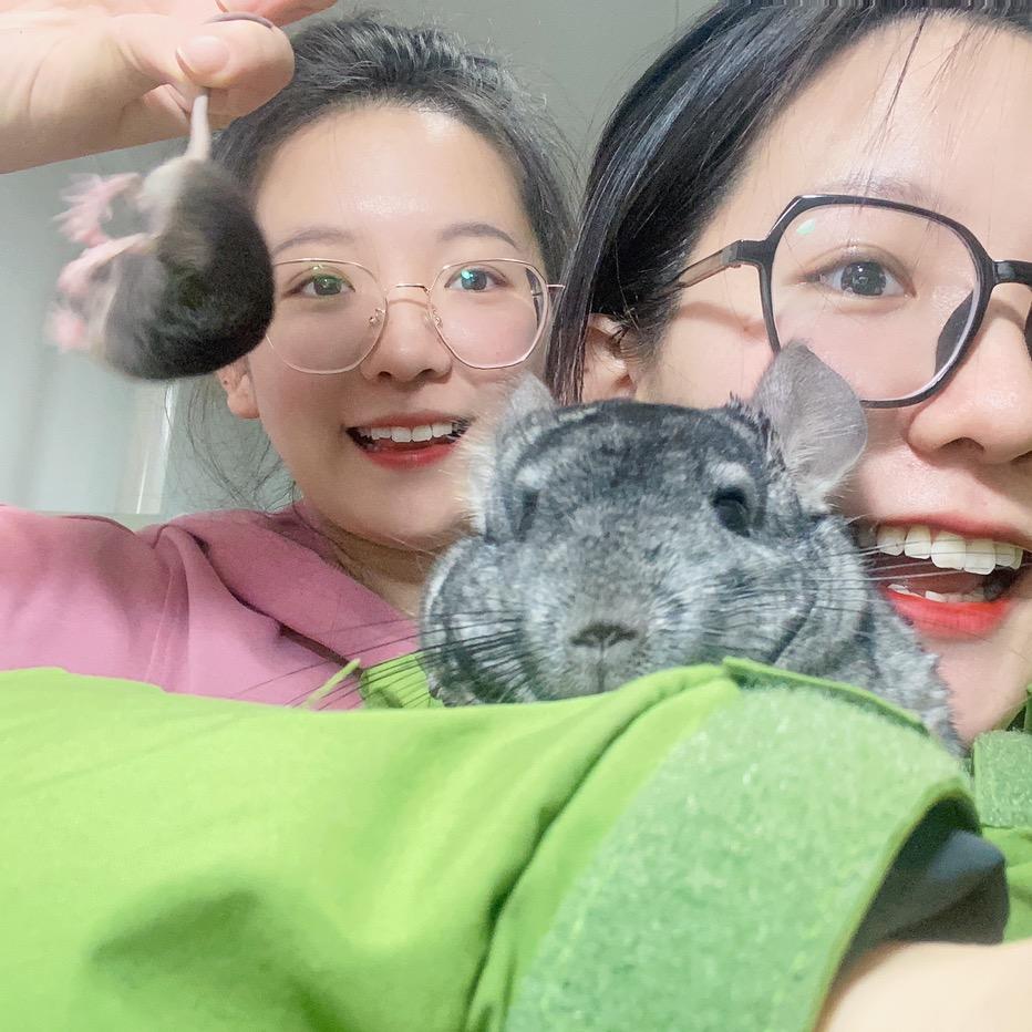 毛驴不是驴儿