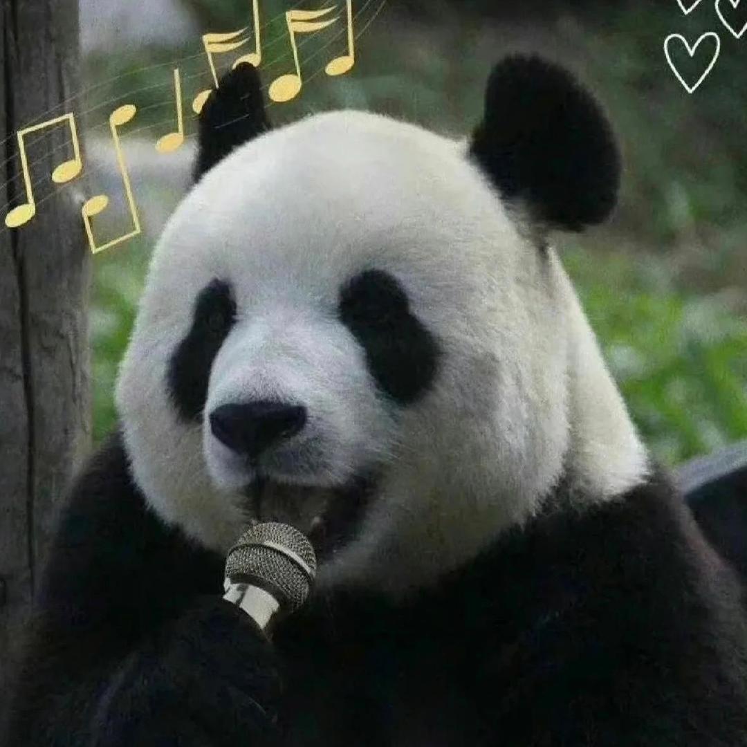 毛哥呜呜呜