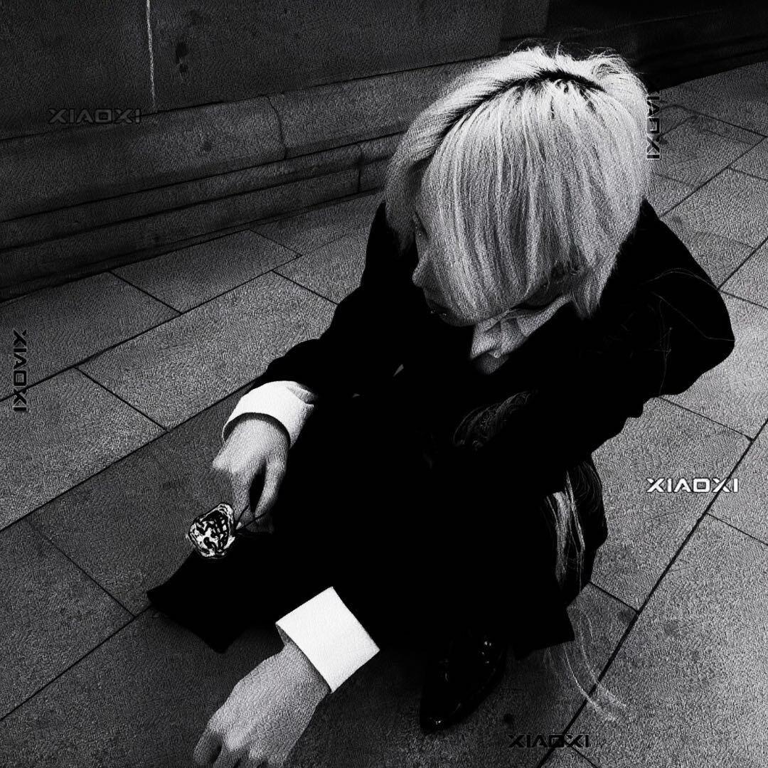 性感男蟑螂