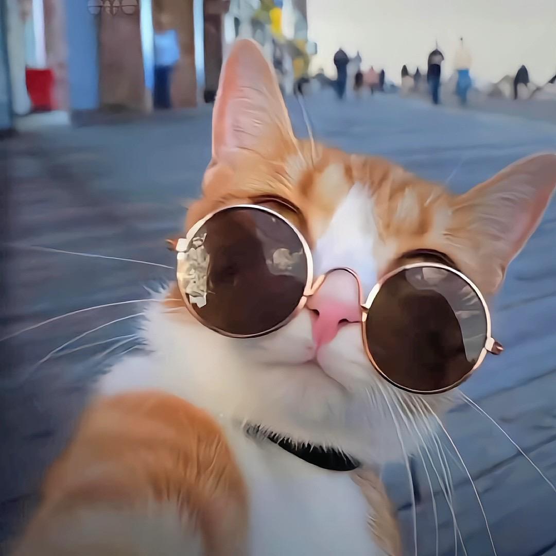 沐风今天不吃饭