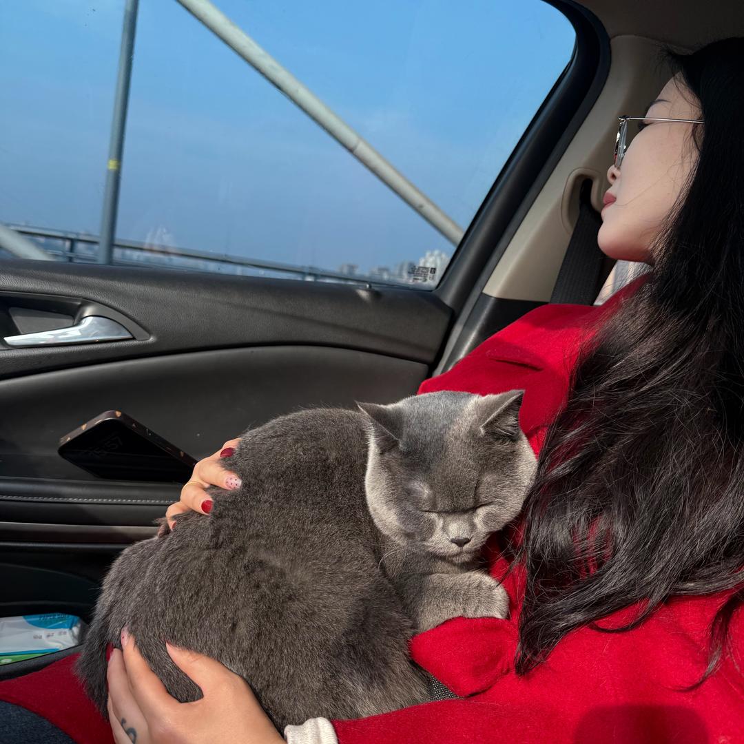 雪雪 F彩小店主🧧