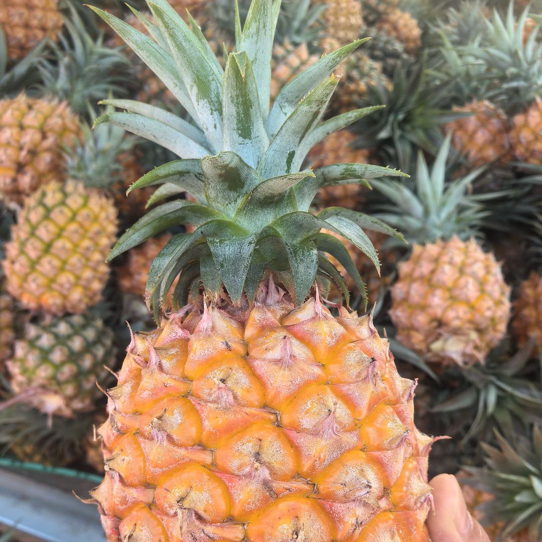 重庆夫妻
