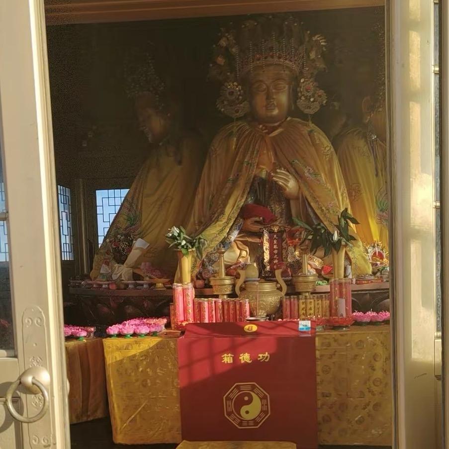 @人静则安心🪷🪷🪷