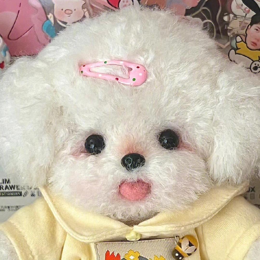 芝士咕噜噜-