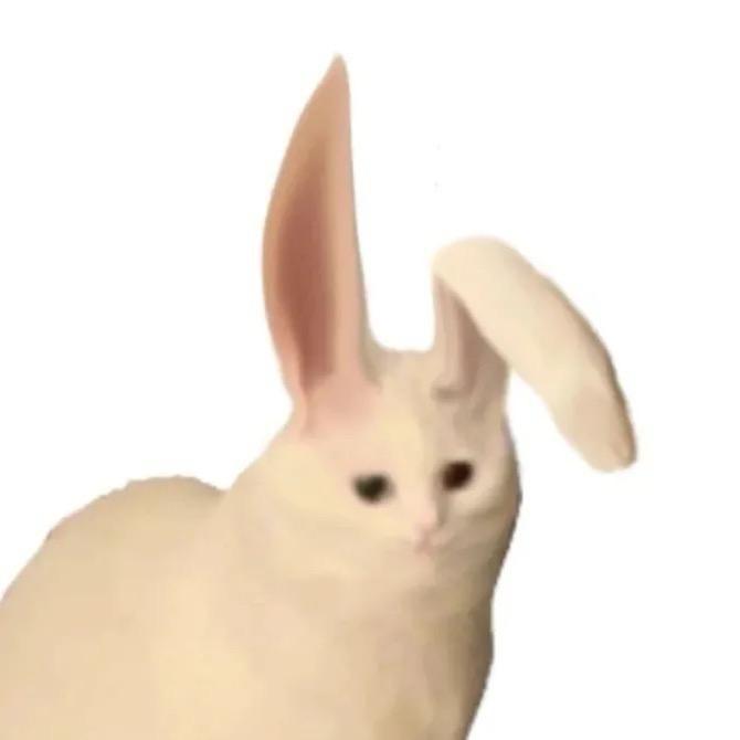 duu