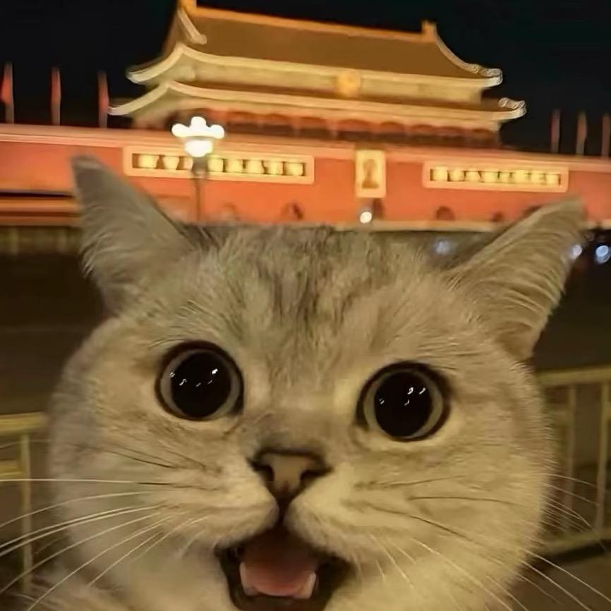 周哥哥