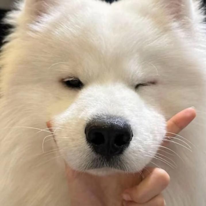 迷雾榴莲