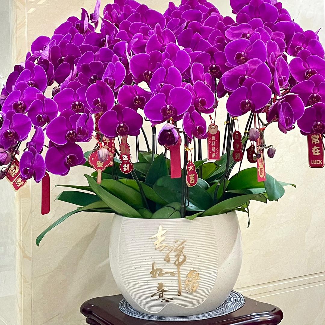 💫爱我所爱💫