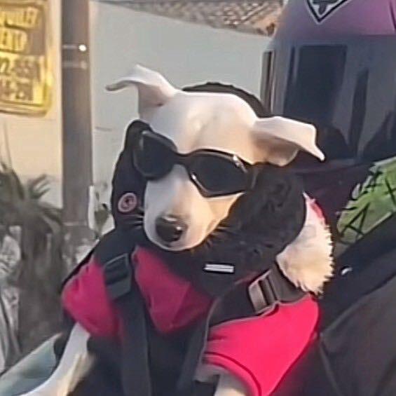 阿远的生活日记