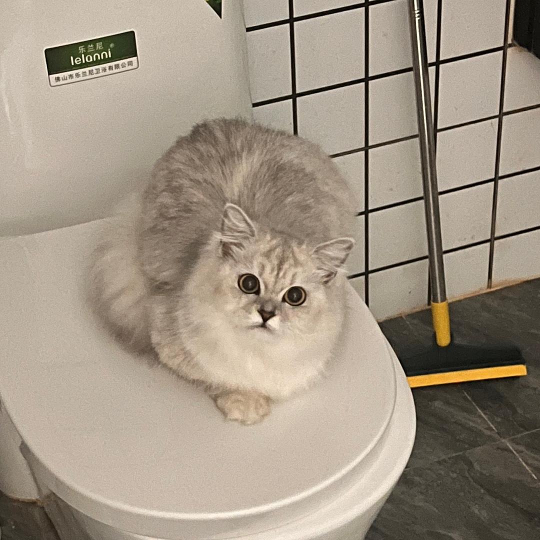 小朋友