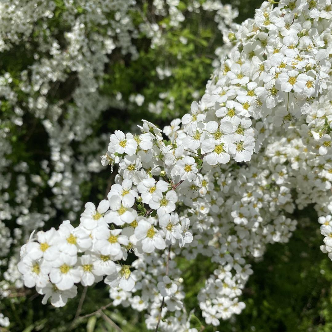 南通羽芸儿家纺