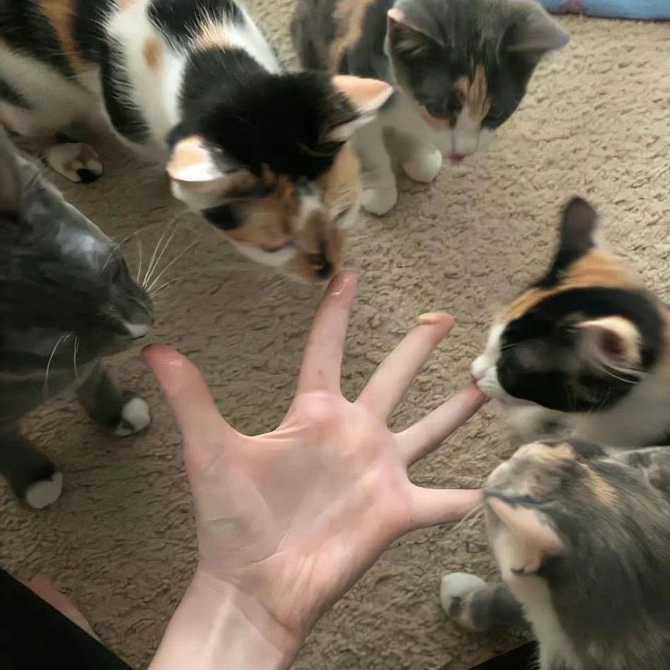 TiAmo ～