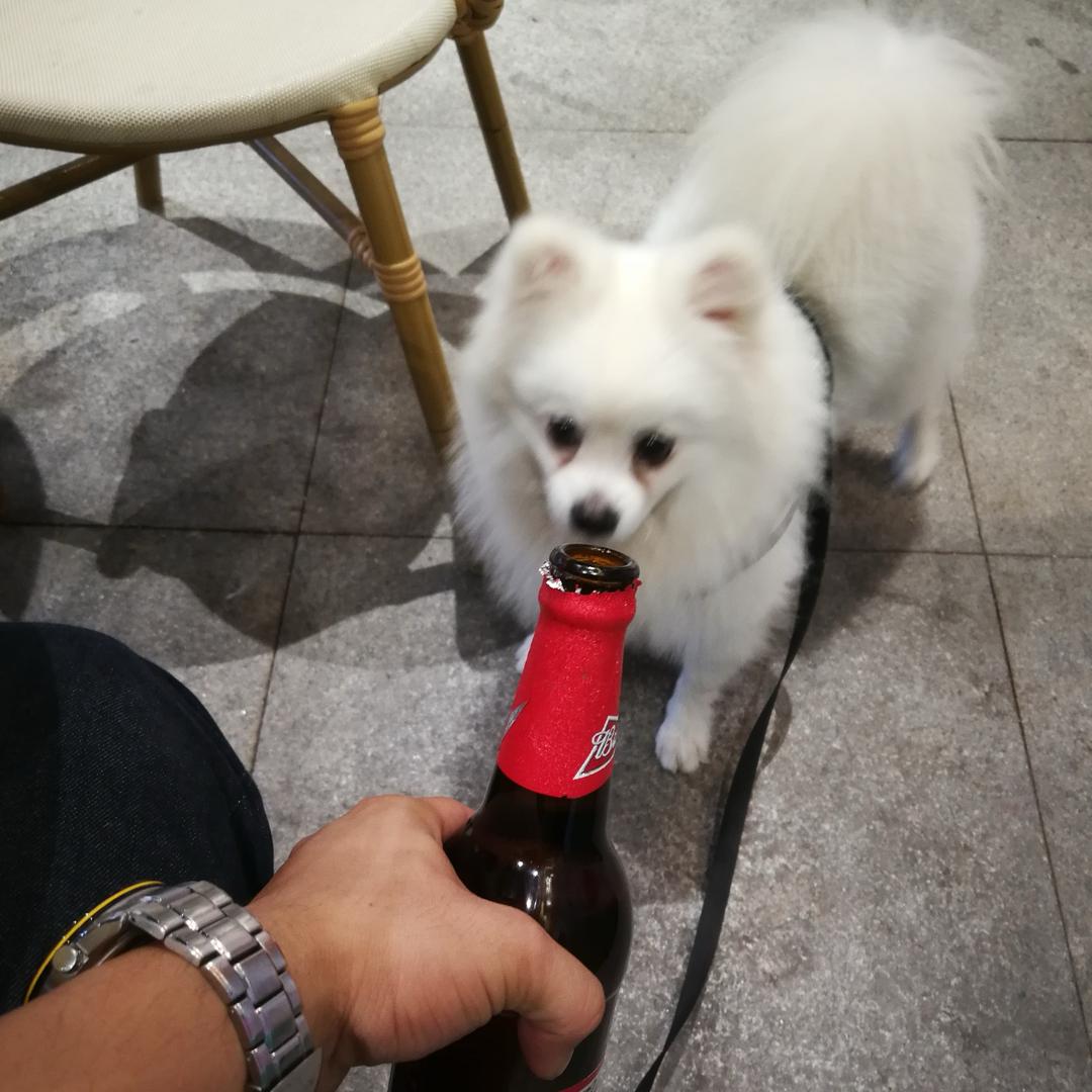 煒翔