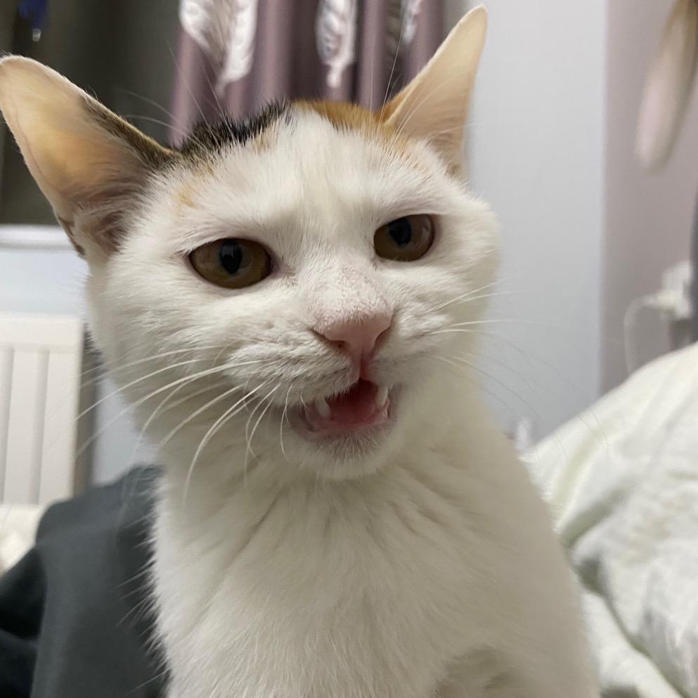 大小姐的花花。