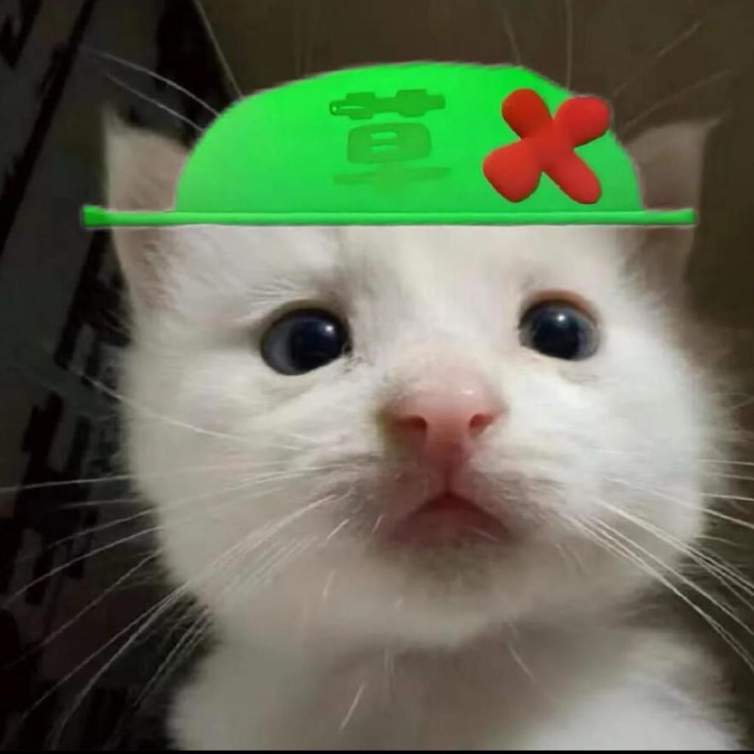 tt屁