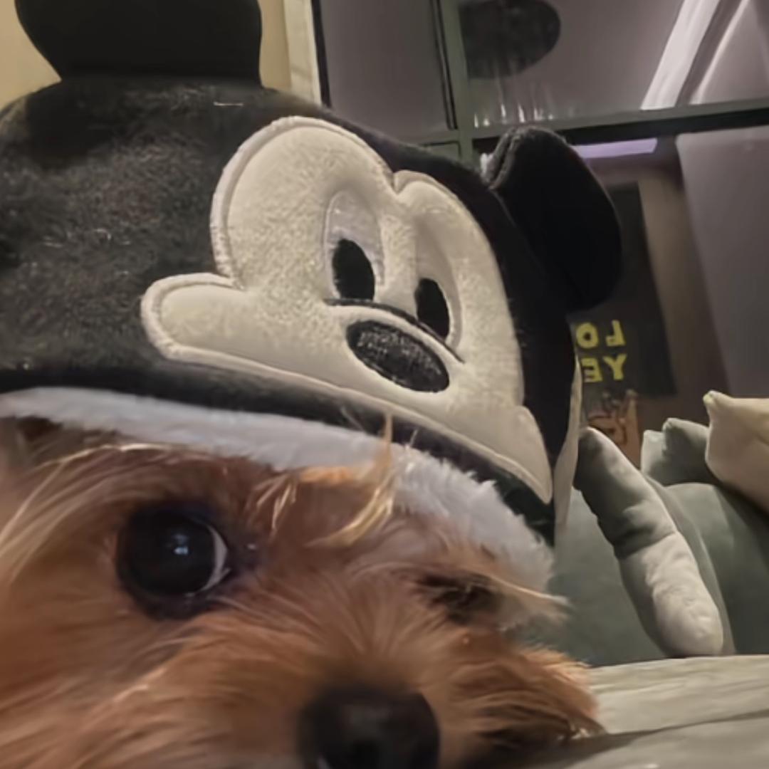 没情没钱没耐心