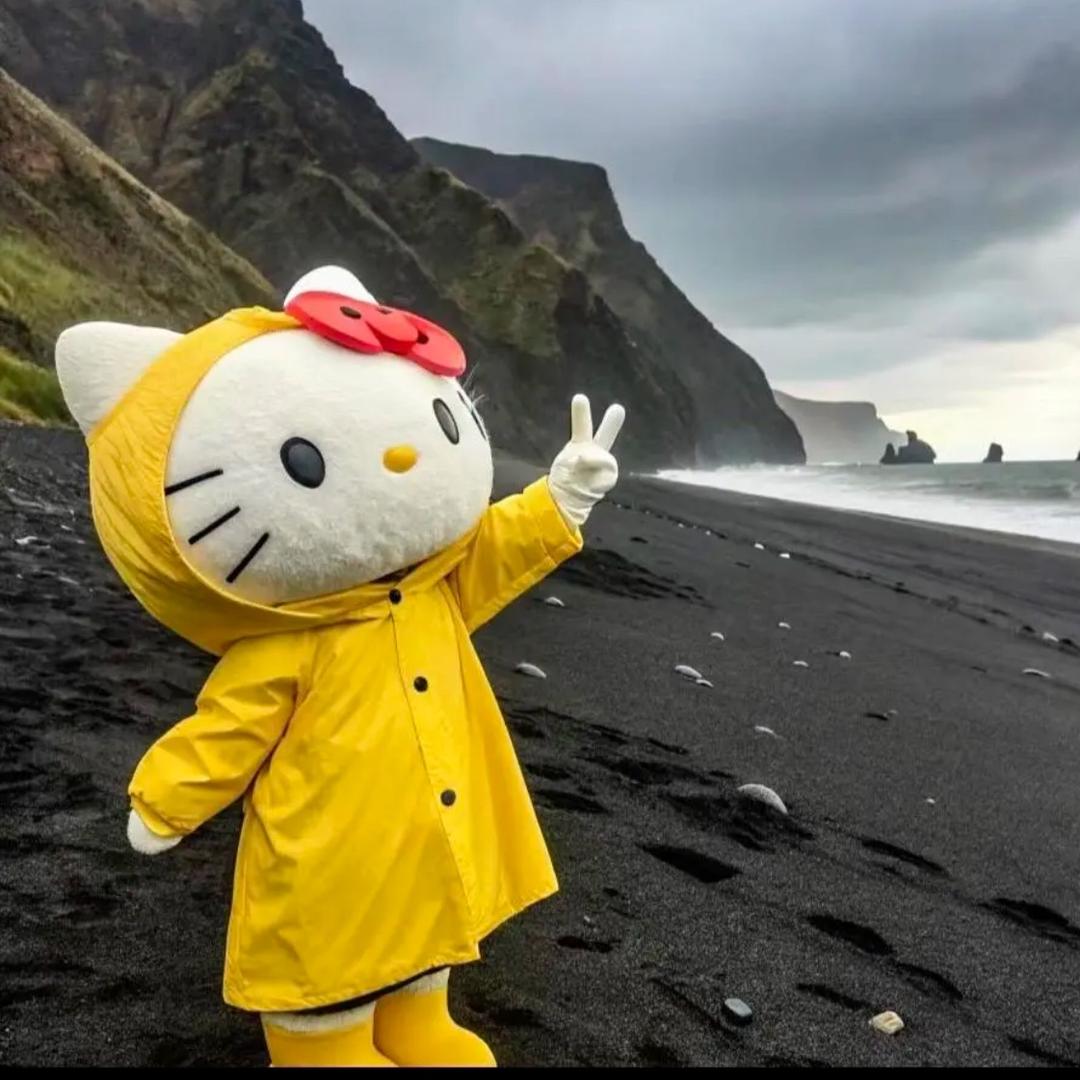 野狗炸弹