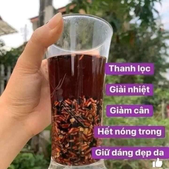 圆规小猫咪其实可以吃奥利奥