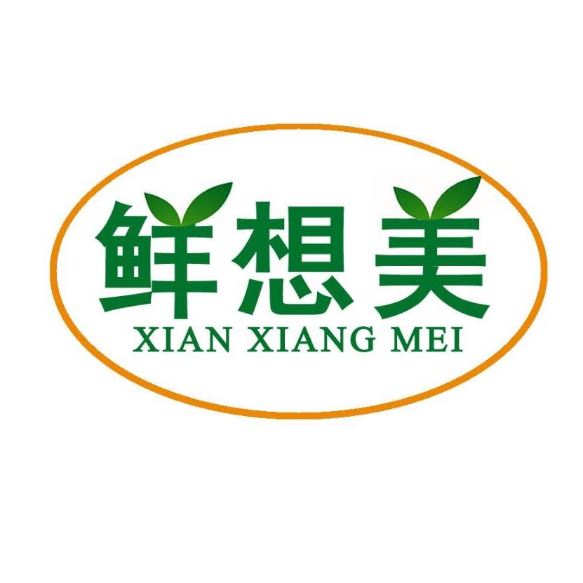鲜想美