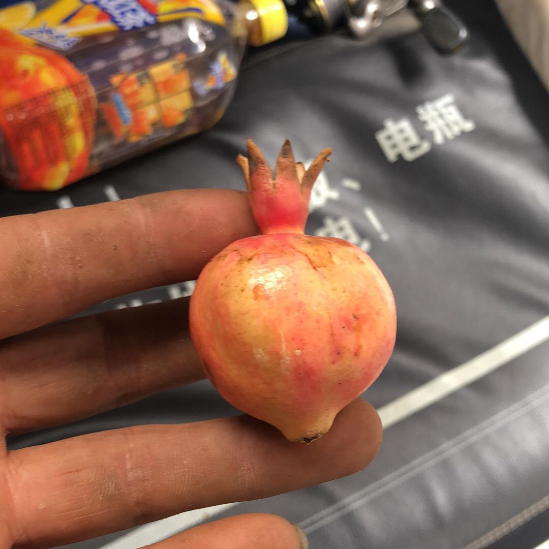 冲钓玩家