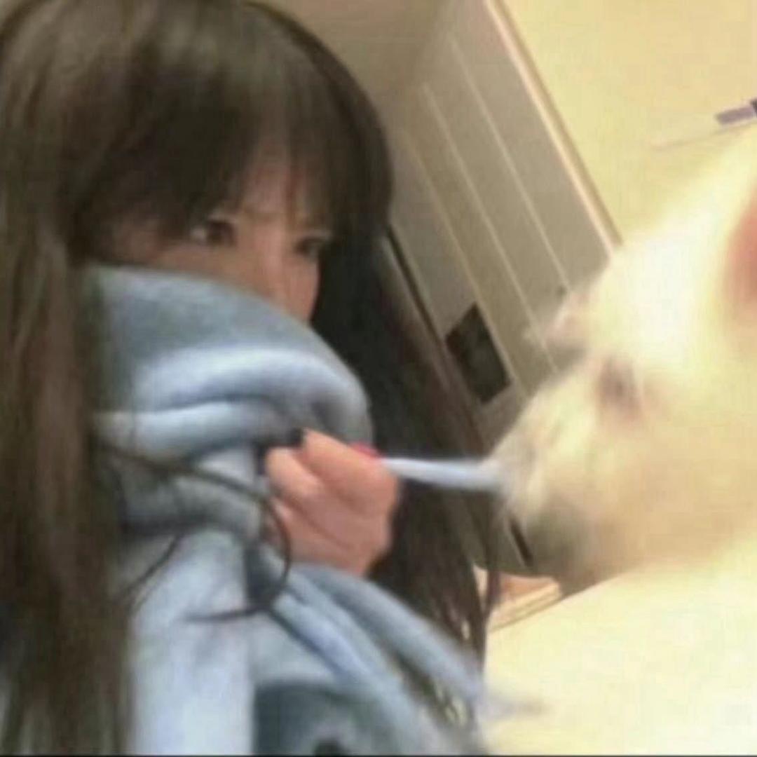Mini妮妮