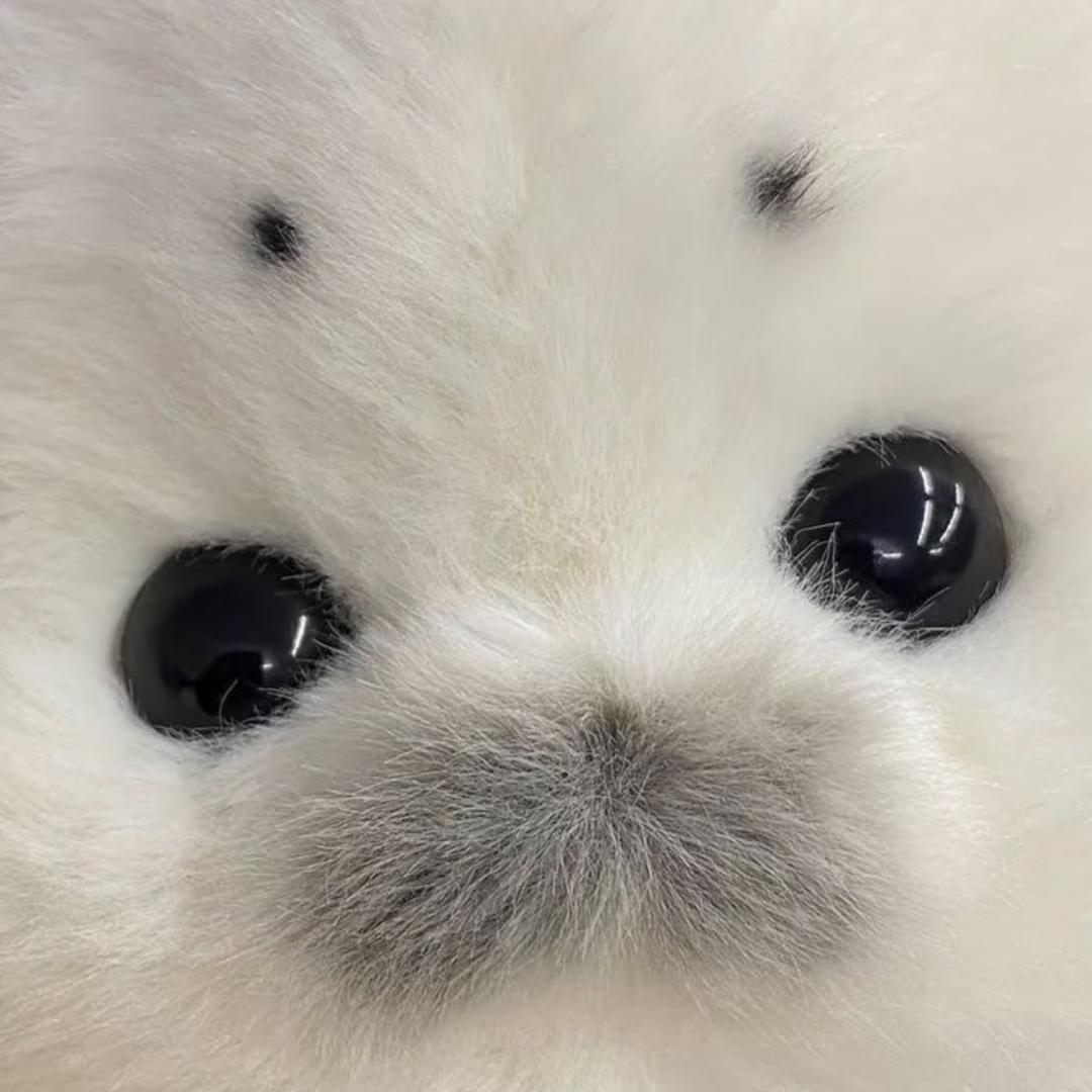 达芬鱼OuO