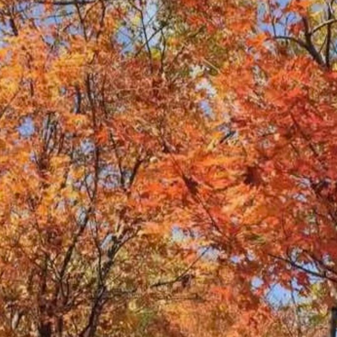 天晴了、雨停了、我特么不行了
