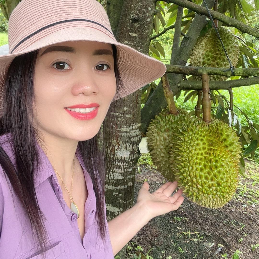 下龙湾💃紫玉兰