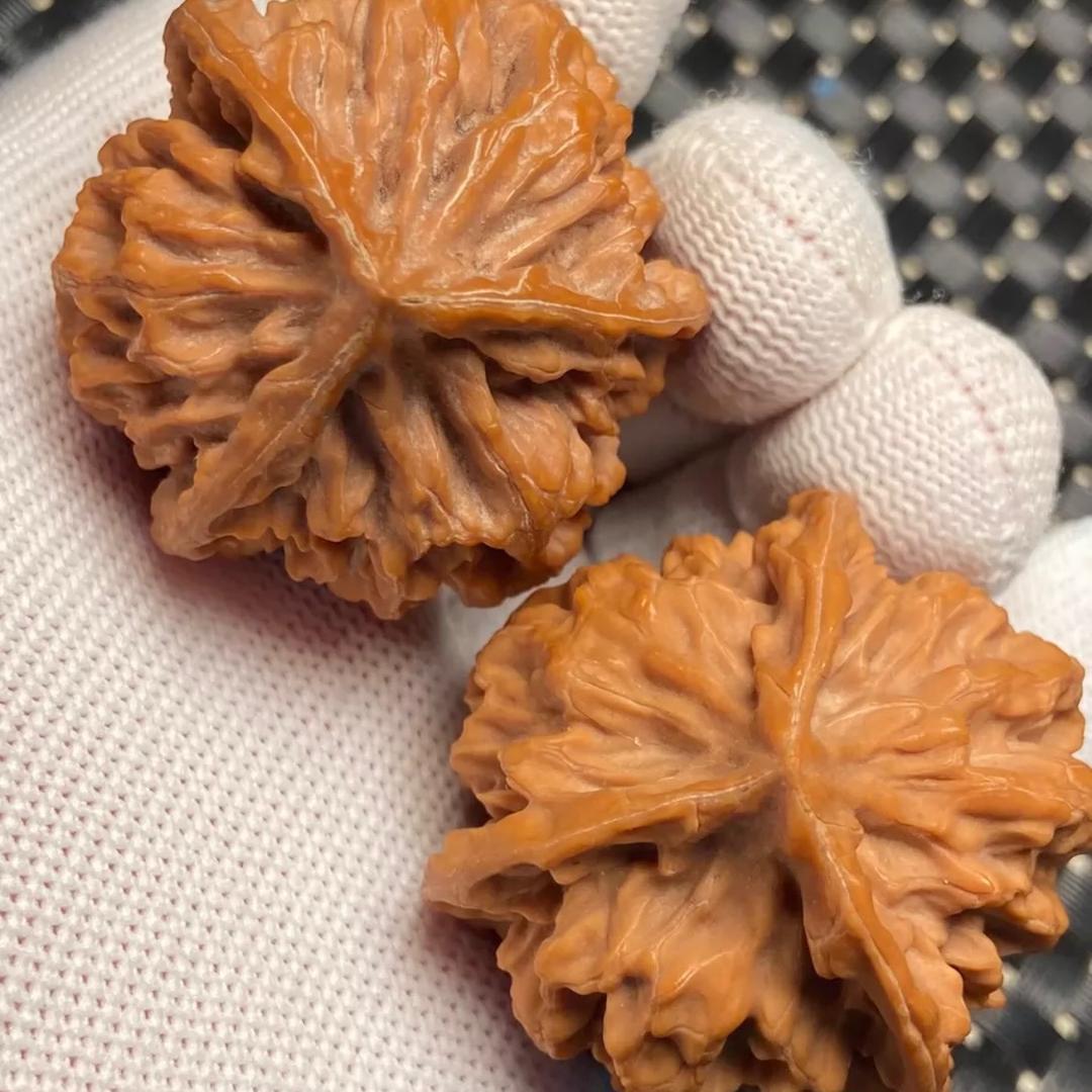 核农铺子