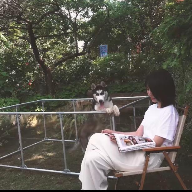 萌宠用品好物分享