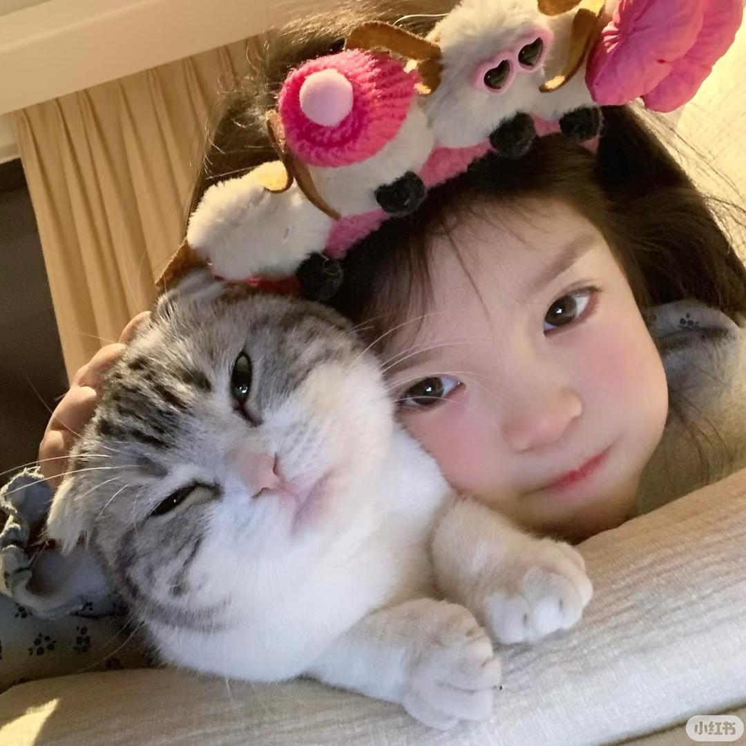 元宝纪实录