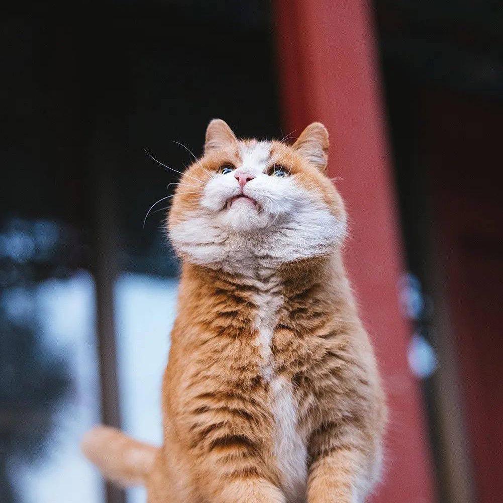 ꧔ꦿ᭄💞空空如叶无韦熊🦹¹ᶟ₁₄